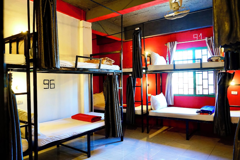 Standard Shared Dormitory photo 2