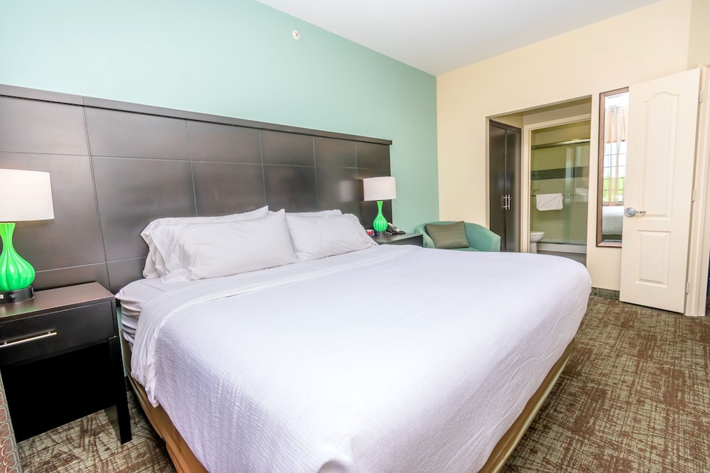 Studio Suite, 1 Queen Bed, Accessible Bathtub, Kitchen (Mobility, Accessible Tub) - Photo 5