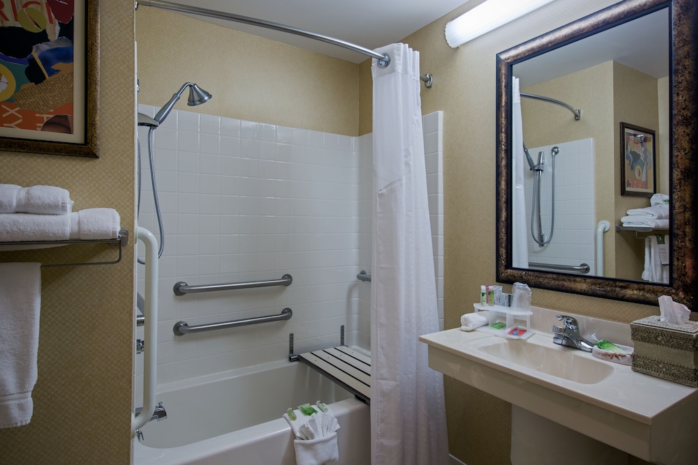 Suite, 1 King Bed, Accessible Bathtub, Non Smoking (Communications) photo 3