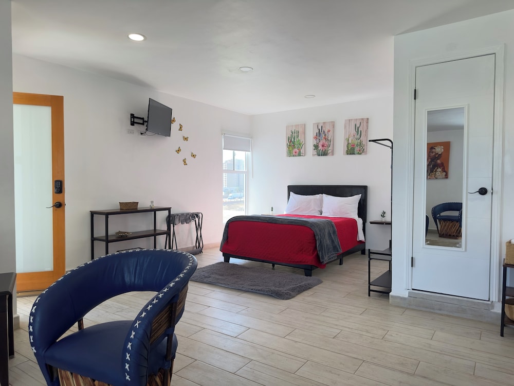 Basic Suite, Ocean View photo 3
