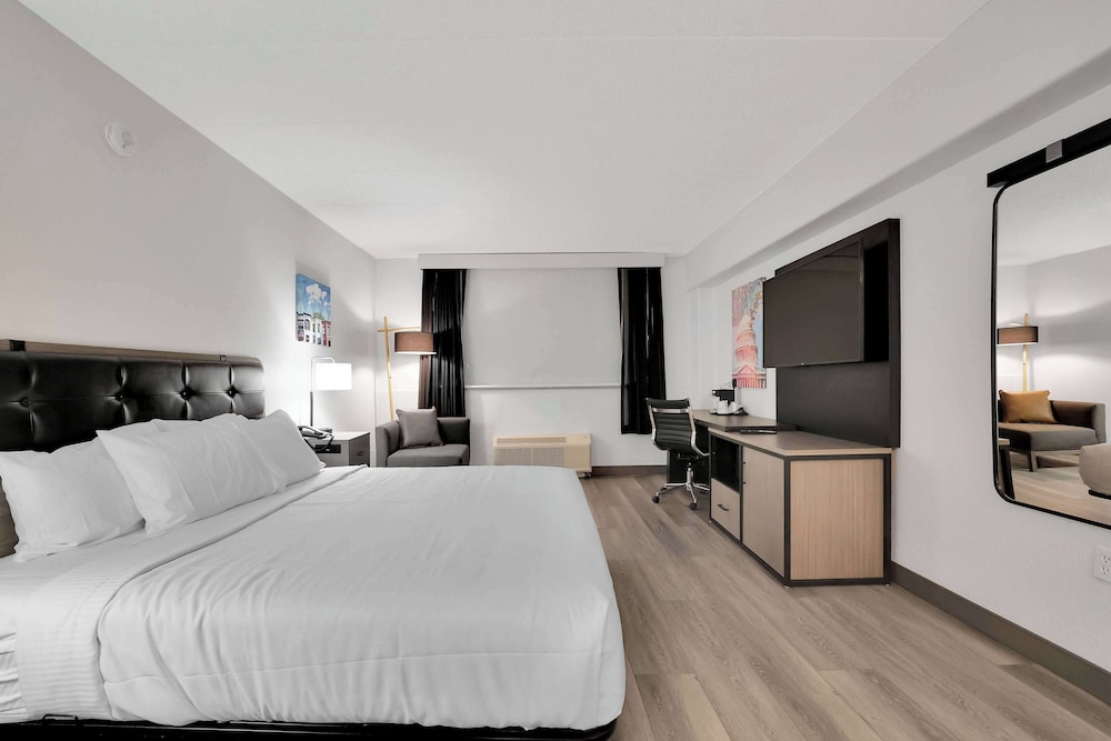 Room, 1 King Bed, Mobility Accessible, Non Smoking (Roll-In Shower) - Photo 9