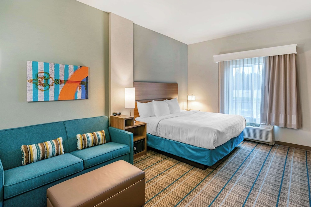 Suite, 1 King Bed, Non Smoking (Efficiency) - Photo 3