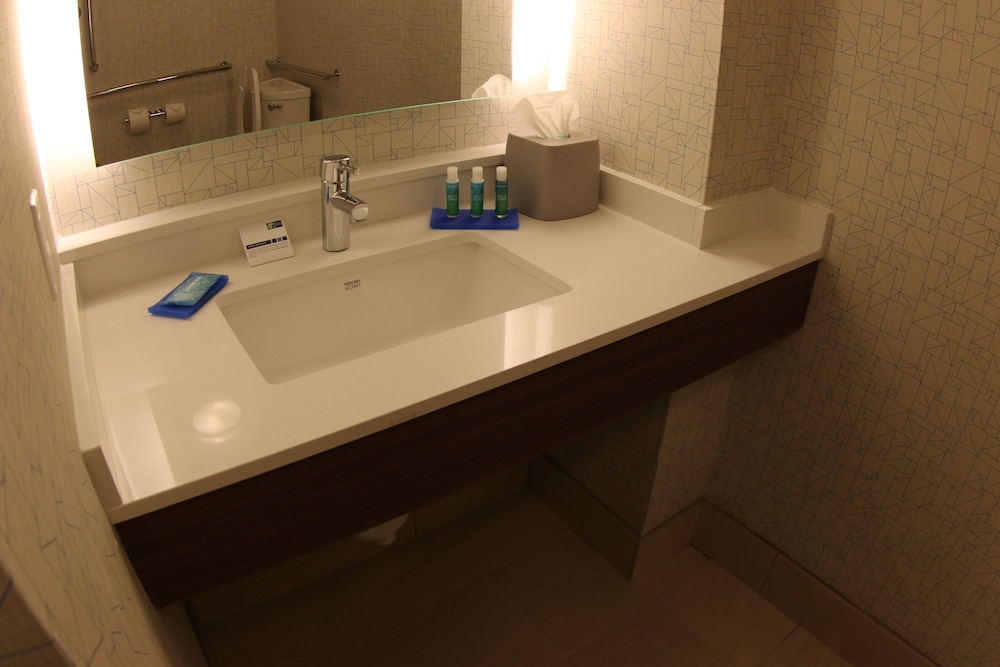 Holiday Inn Express & Suites - Detroit Northwest - Livonia by IHG, Photo 5