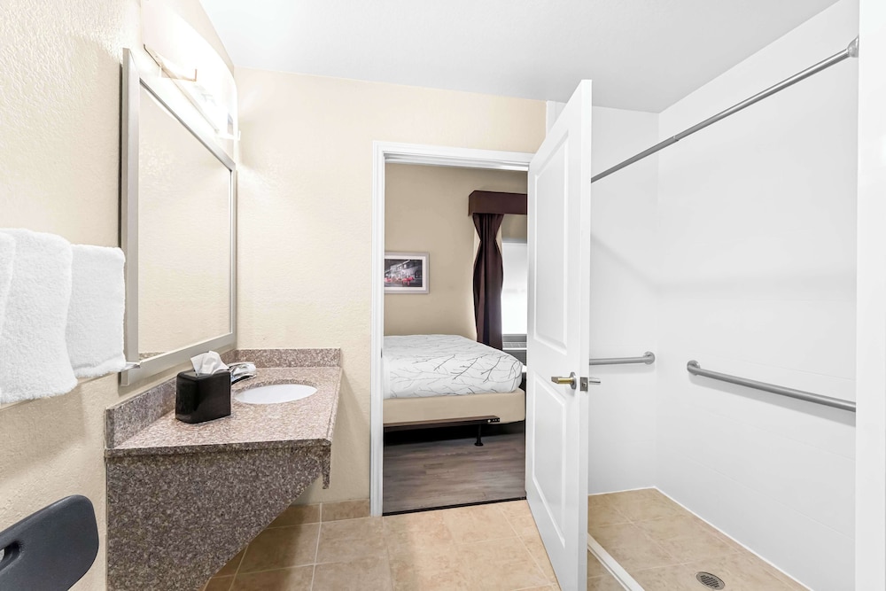 Suite, 1 King Bed, Accessible, Non Smoking (with Sofabed) - Photo 4