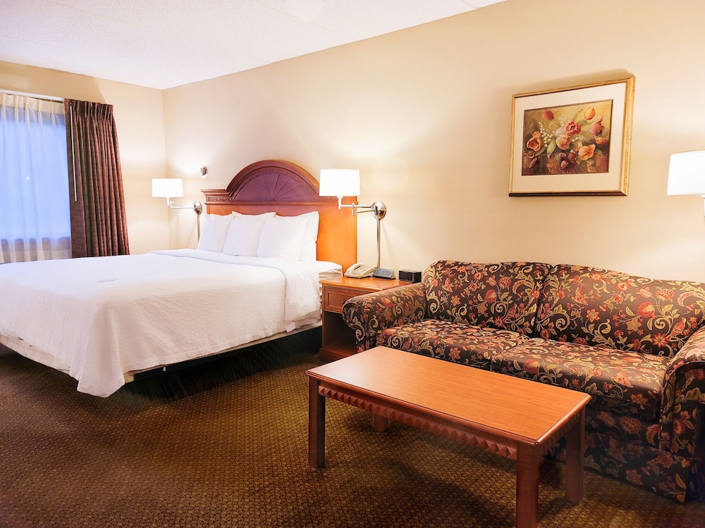 Premier Room, 1 King Bed with Sofa bed - Photo 4