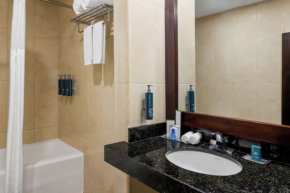 2 Bedrooms Master Suite, Business Lounge Access photo 3