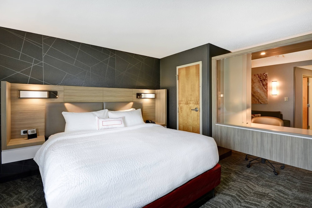 Suite, 1 King Bed with Sofa bed (Mobility Accessible, Roll-In Shower) - Photo 7