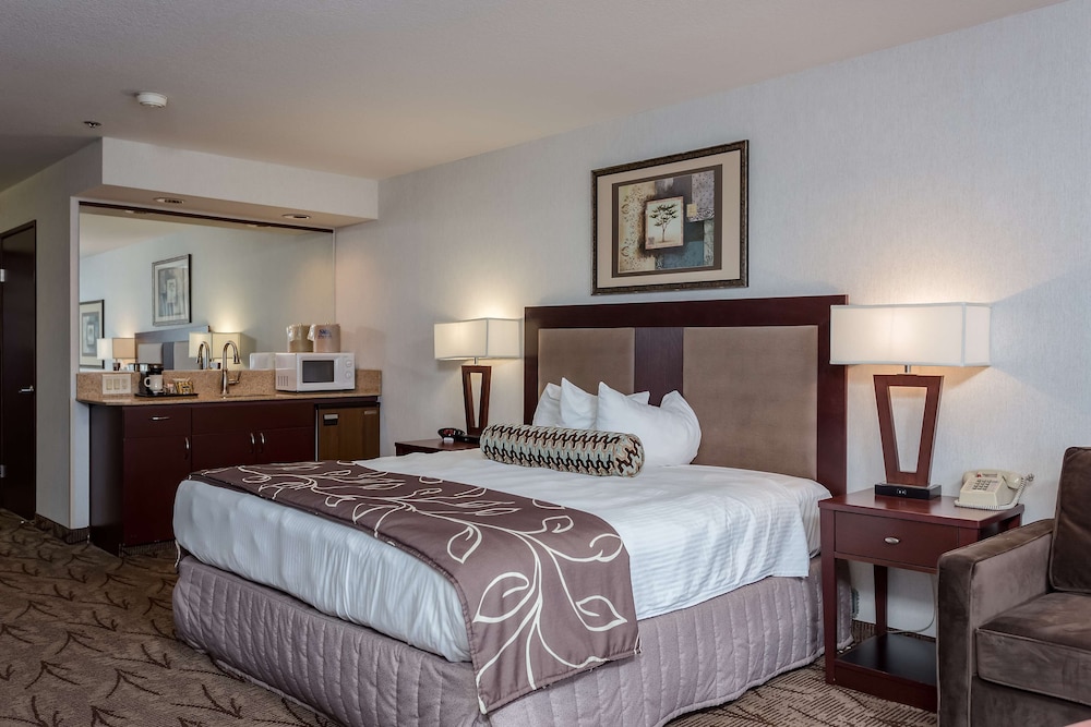 Deluxe Room (ADA) photo 3
