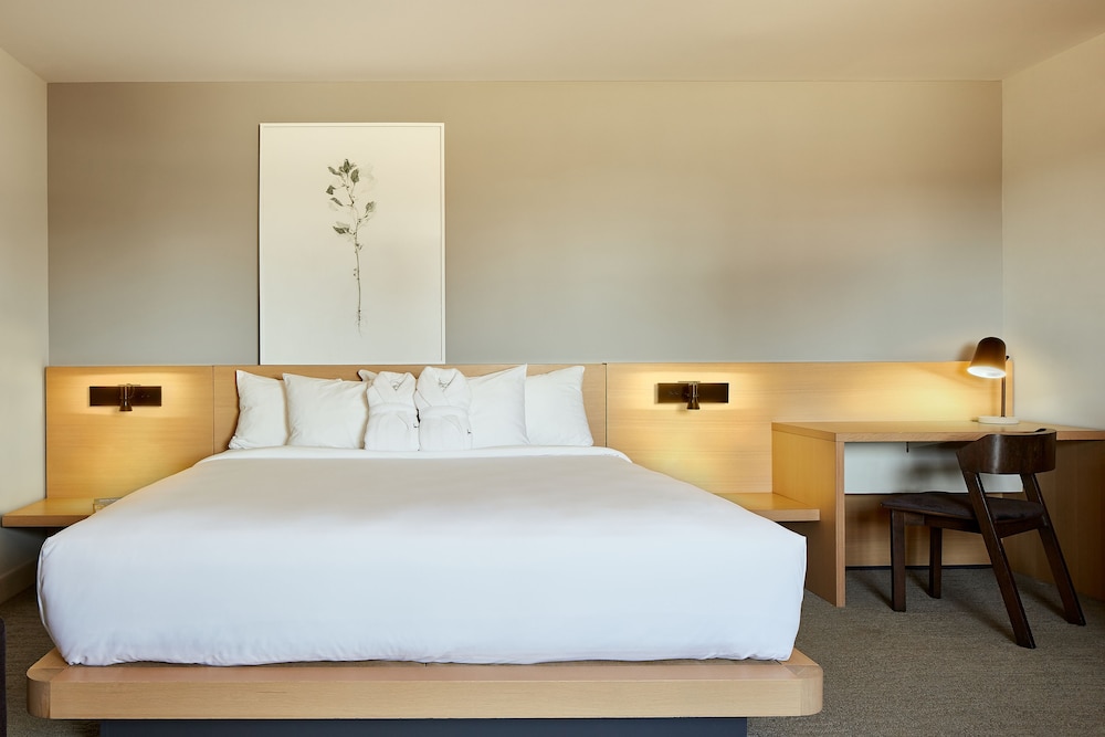Junior Suite (Platinum) - Photo 1