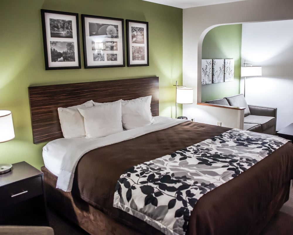 Executive Suite, 1 King Bed With Sofa Bed, Non Smoking photo 1