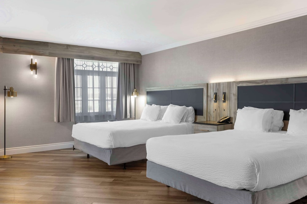 Suite, Multiple Beds, Non Smoking, Kitchenette (Living Room;with Sofabed) - Photo 1