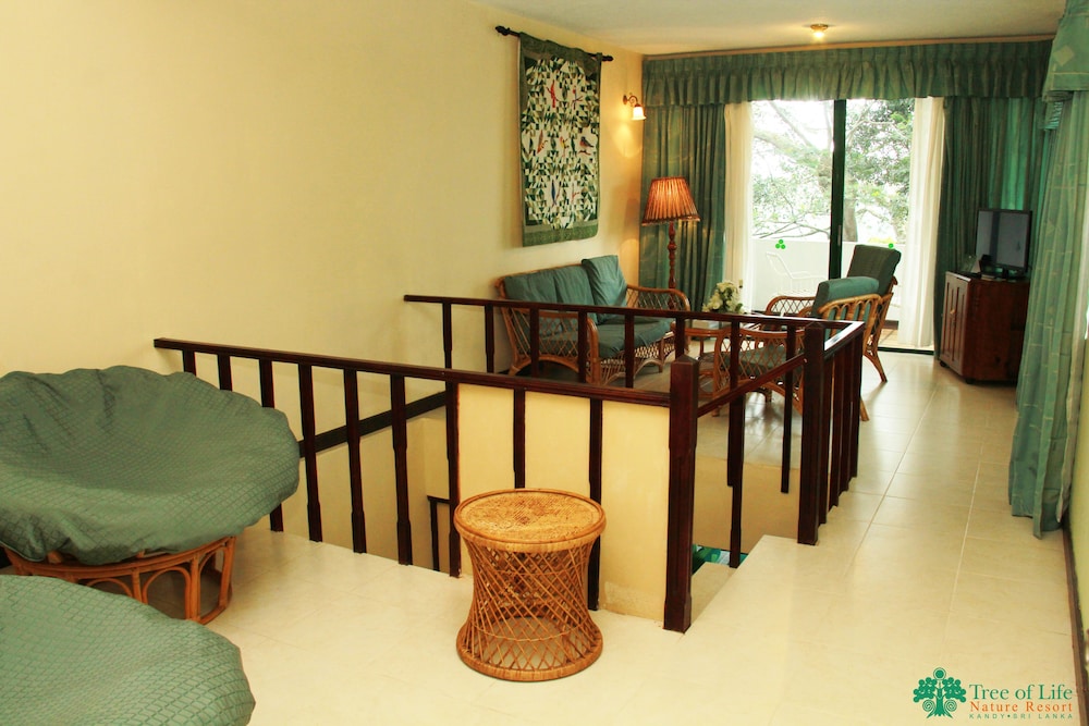 Deluxe Room - Photo 9