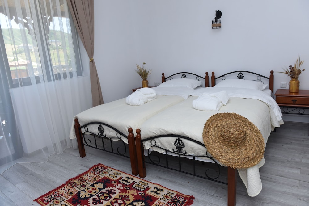 Standard Twin Room, Mountain View photo 3