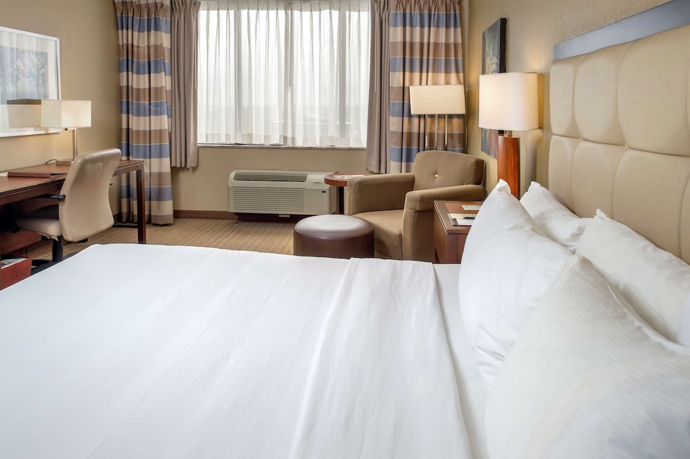 Premium Suite, 1 King Bed photo 2
