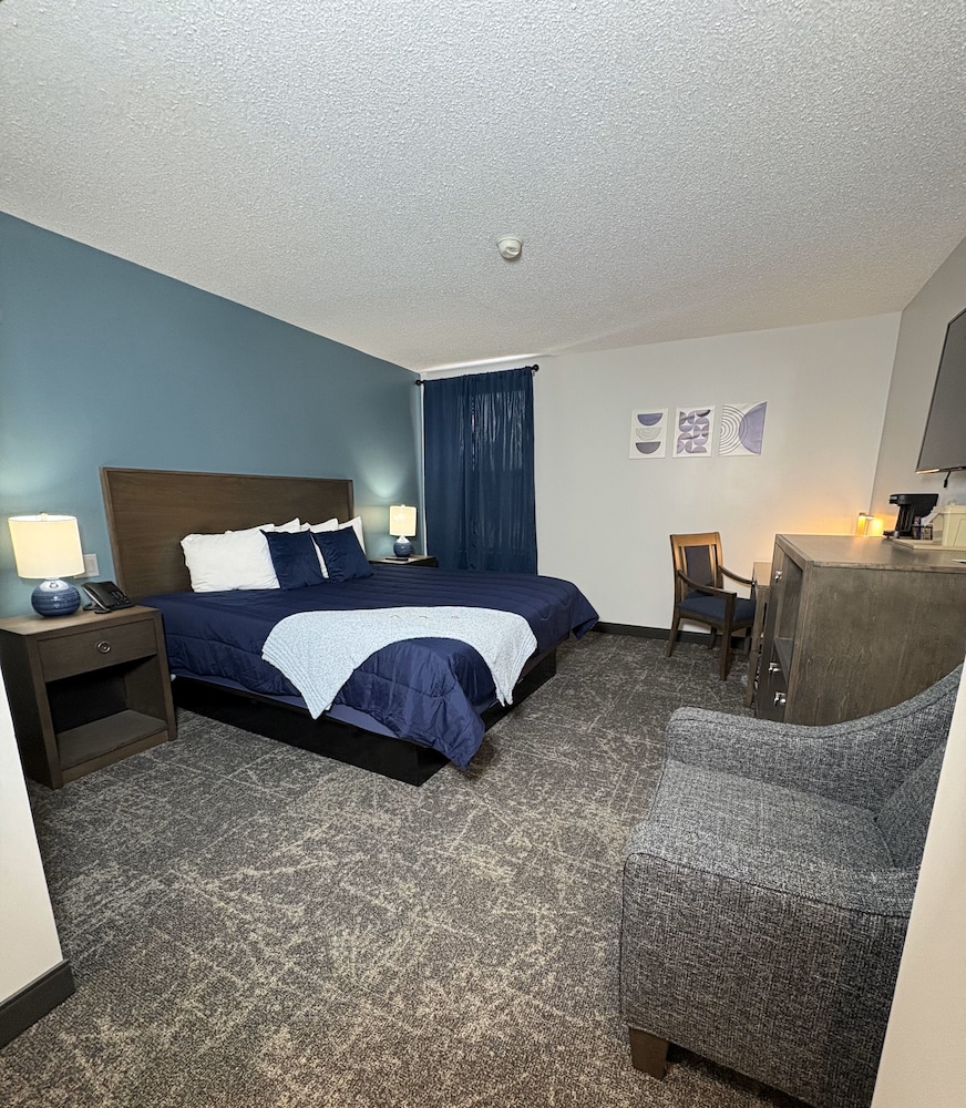 Standard Single Room, 1 King Bed, Non Smoking photo 1