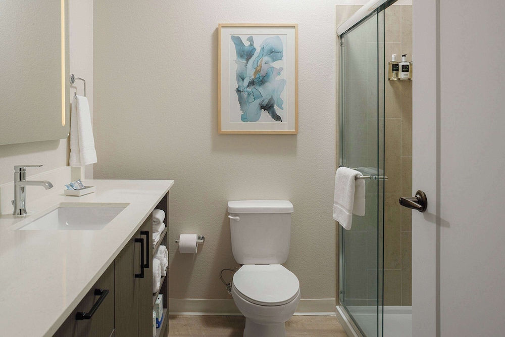 Studio Suite, 1 King Bed, Accessible (Hearing, Roll-In Shower) photo 3