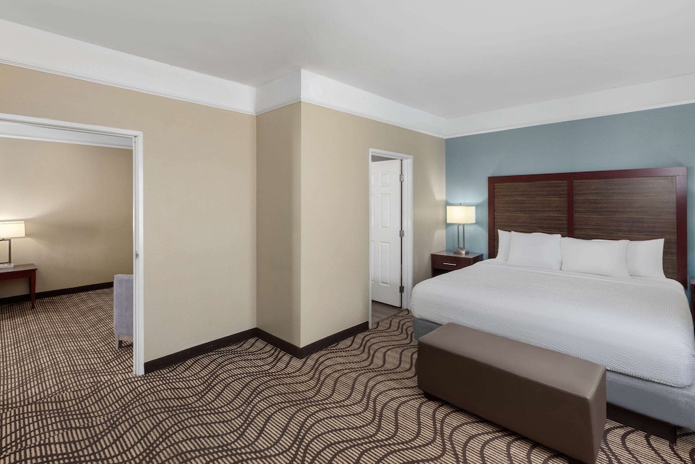 Suite, 1 King Bed, Non Smoking (Sofa Bed) - Photo 2