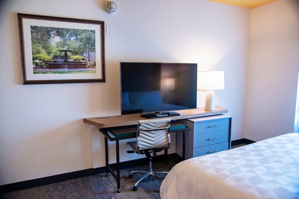 Standard Room, 1 King Bed, Accessible (Communication, Mobility Tub) - Photo 1