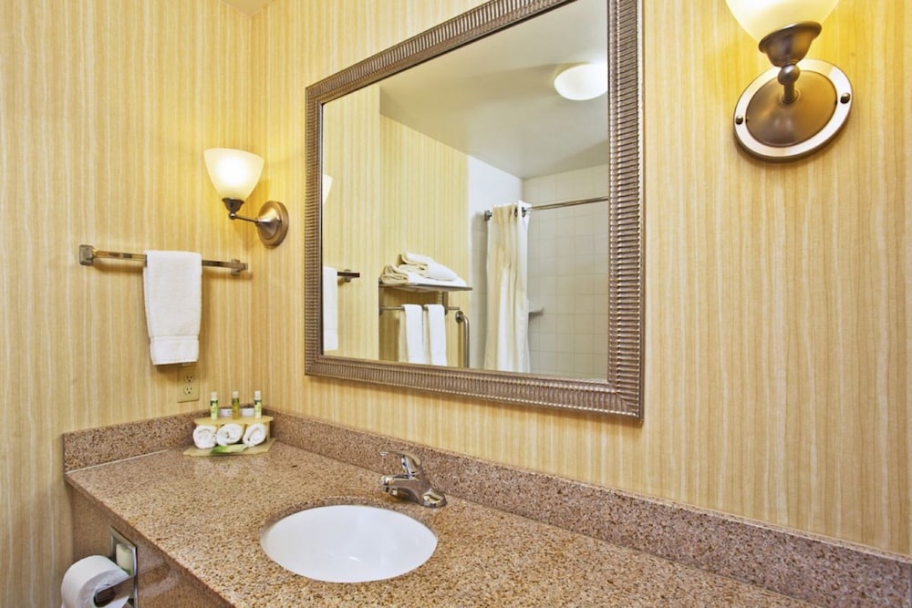 Suite, 1 King Bed (Additional Living Area) - Photo 8