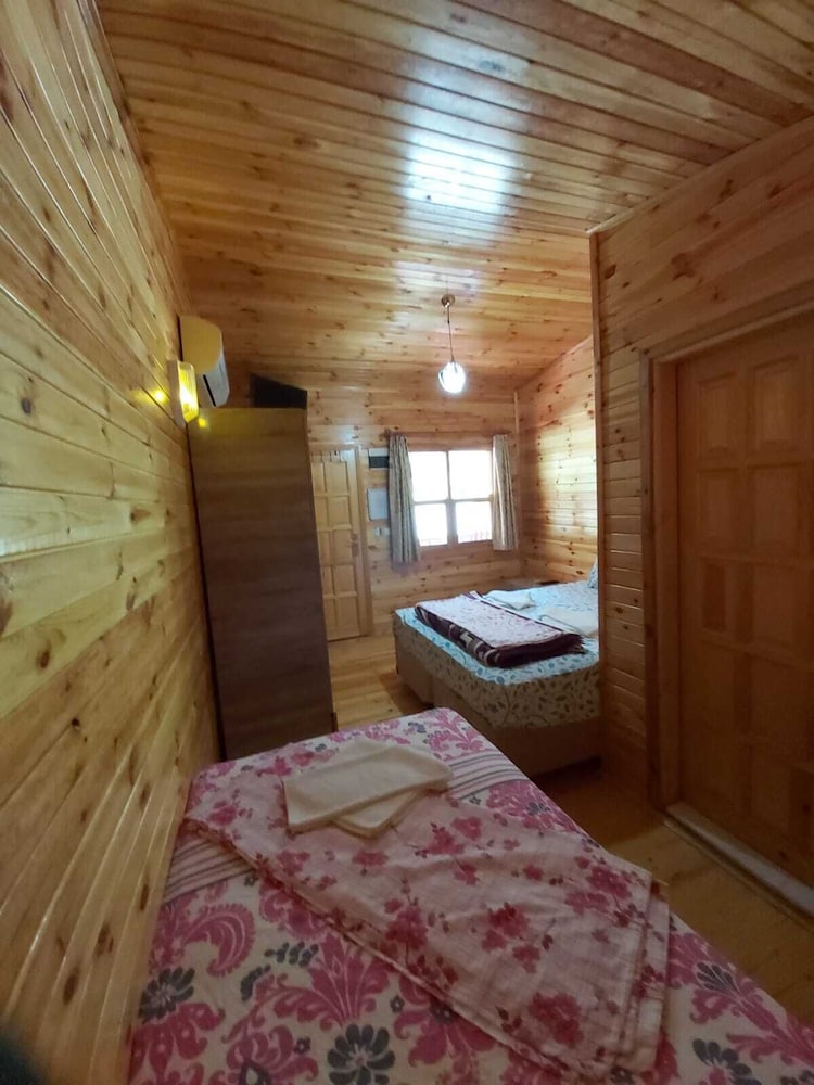 Double or Twin Room photo 2