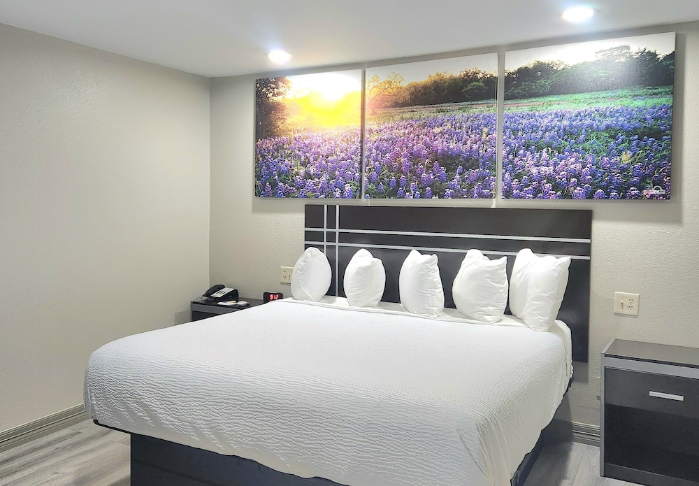Room, 1 King Bed, Accessible, Non Smoking - Photo 3