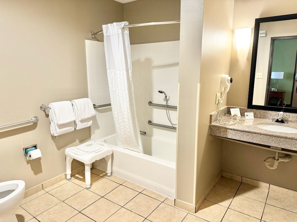 Basic Room, 1 King Bed, Accessible - Photo 2