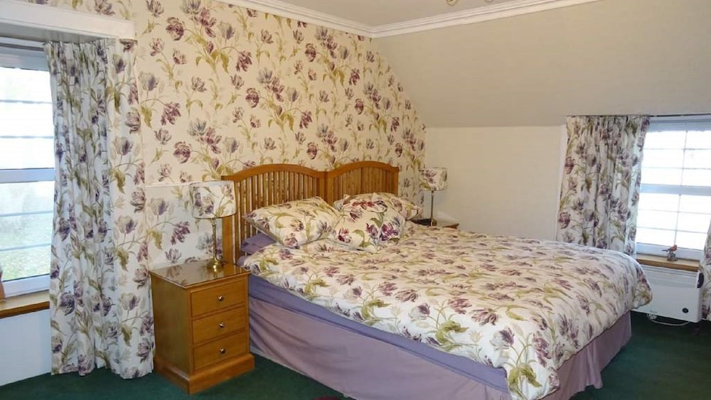 Double Room, 1 Double Bed, Non Smoking photo 3