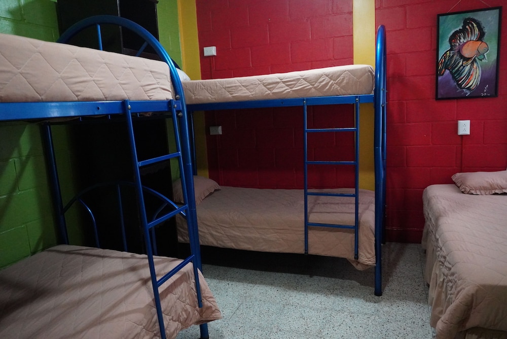 Shared Dormitory photo 3