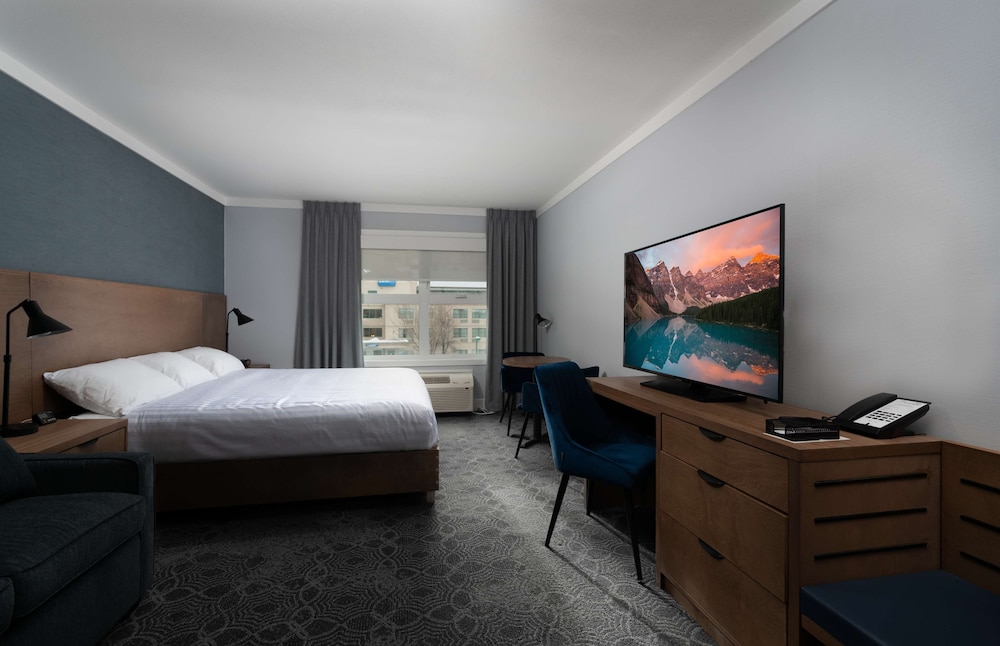 Standard Room, 1 King Bed, Non Smoking (with Single Sofabed;Pet Friendly) photo 3