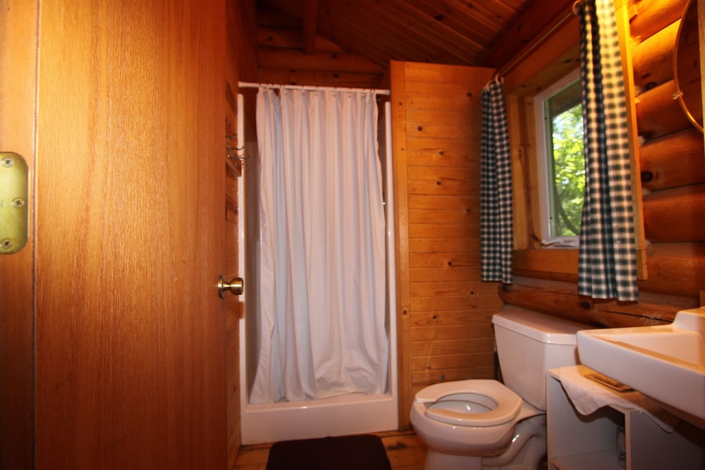 Deluxe Cabin (No Pets, Linens Incl) photo 3