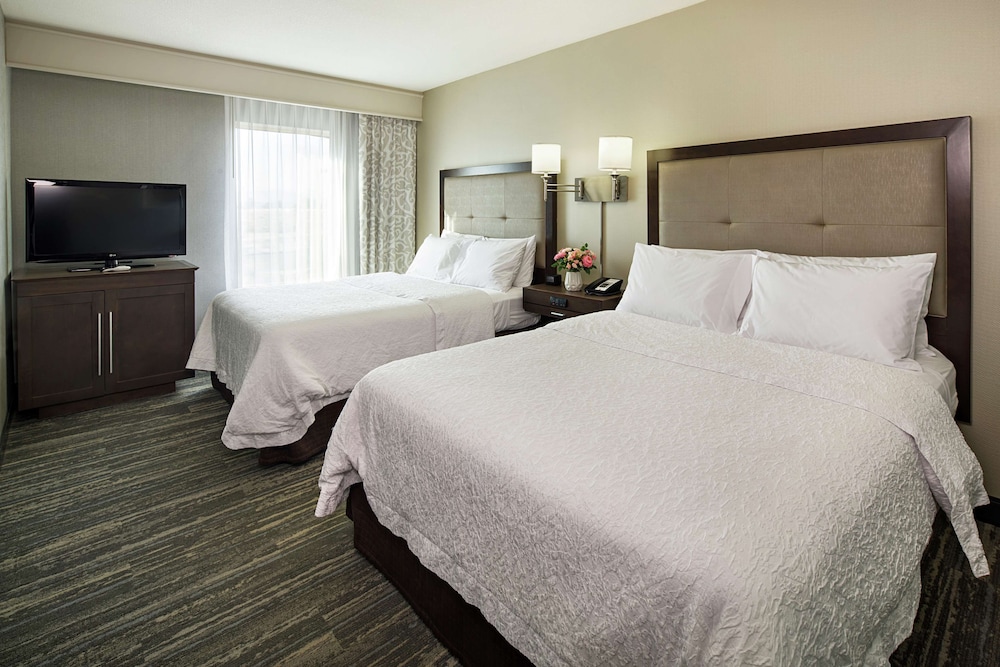 Suite, 1 Bedroom photo 3