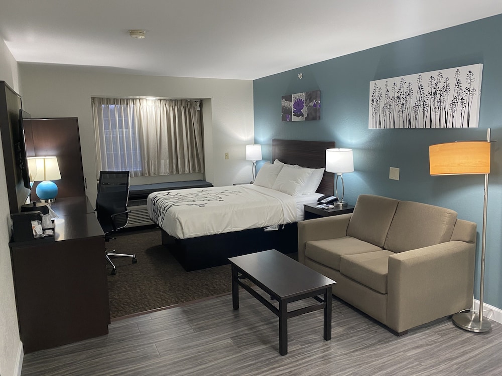 Suite, 1 Queen Bed with Sofa bed, Non Smoking (Efficiency) - Photo 1