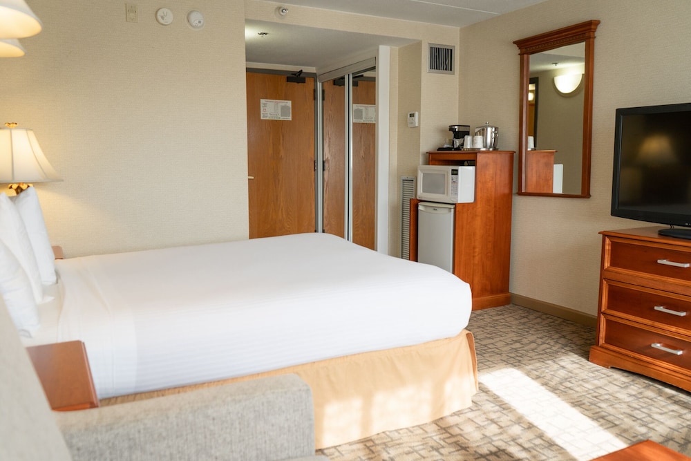Room, 1 Queen Bed, Accessible, Non Smoking photo 3