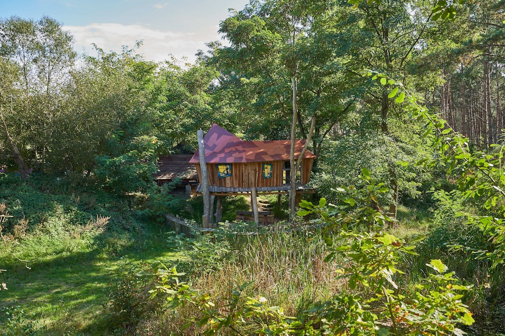 Comfort Tree House photo 2
