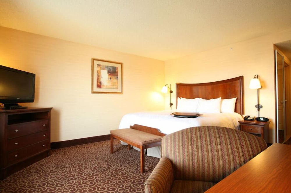 Room, 1 King Bed, Accessible photo 1