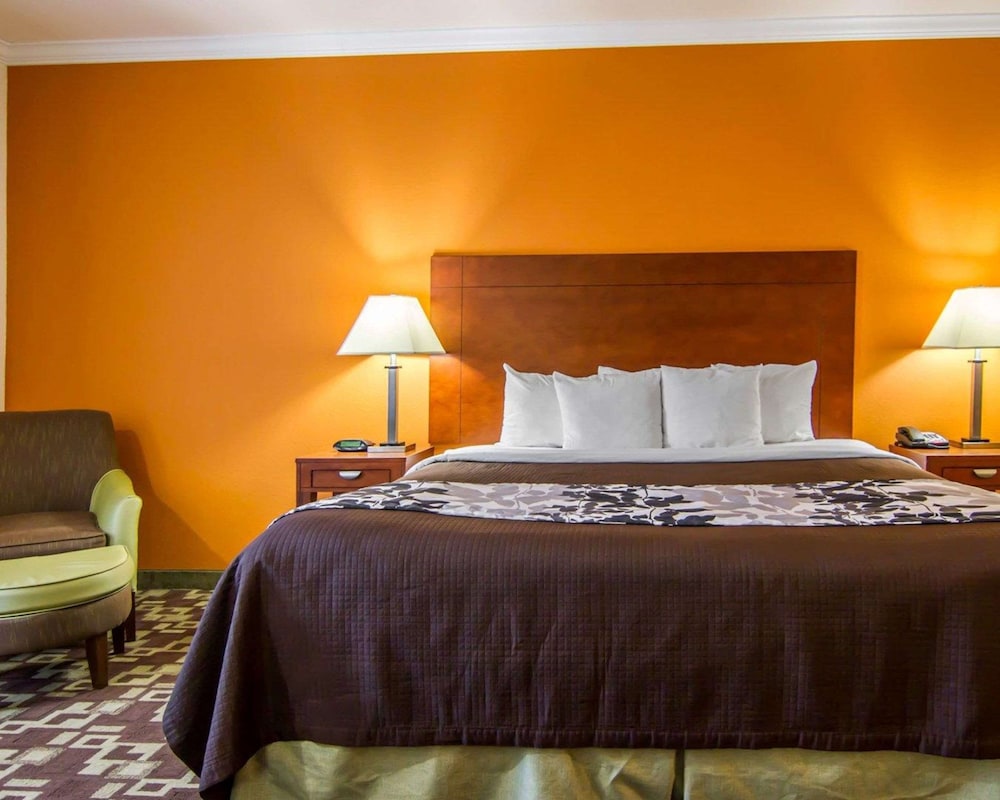 Standard Room, 1 King Bed, Non Smoking - Photo 5