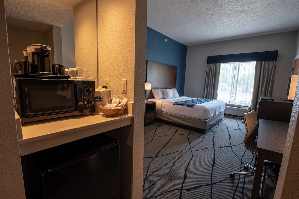 Standard Room, 1 King Bed, Accessible - Photo 4