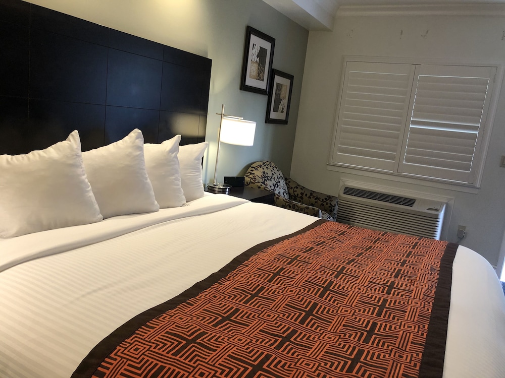 Classic Single Room