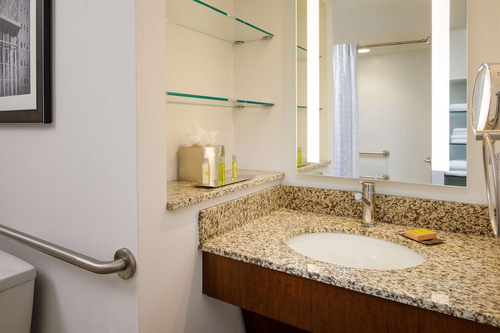 Room, 1 King Bed, Accessible, Bathtub (Mobility/Hearing) - Photo 10