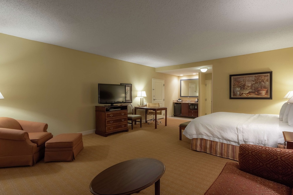 Suite, 1 King Bed, Non Smoking photo 2