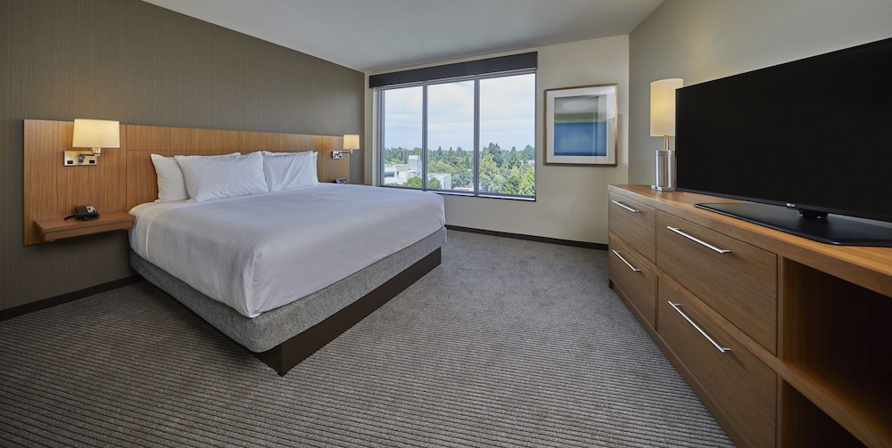 Suite, 1 Bedroom, Accessible (Shower, 1 King Bed and Sofa Bed) photo 2