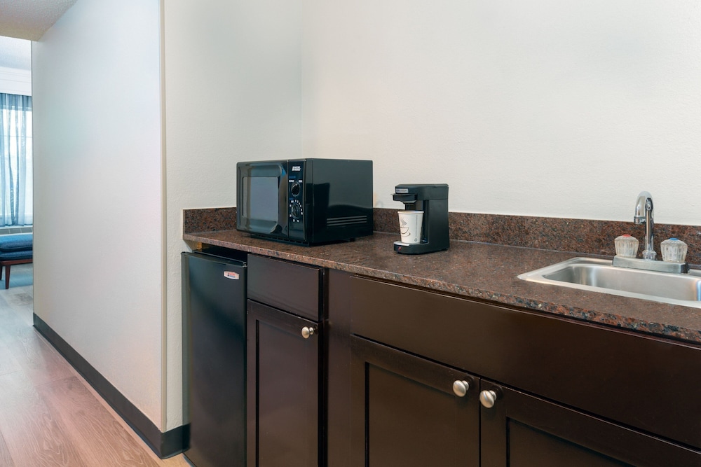 Suite, 1 Bedroom photo 2