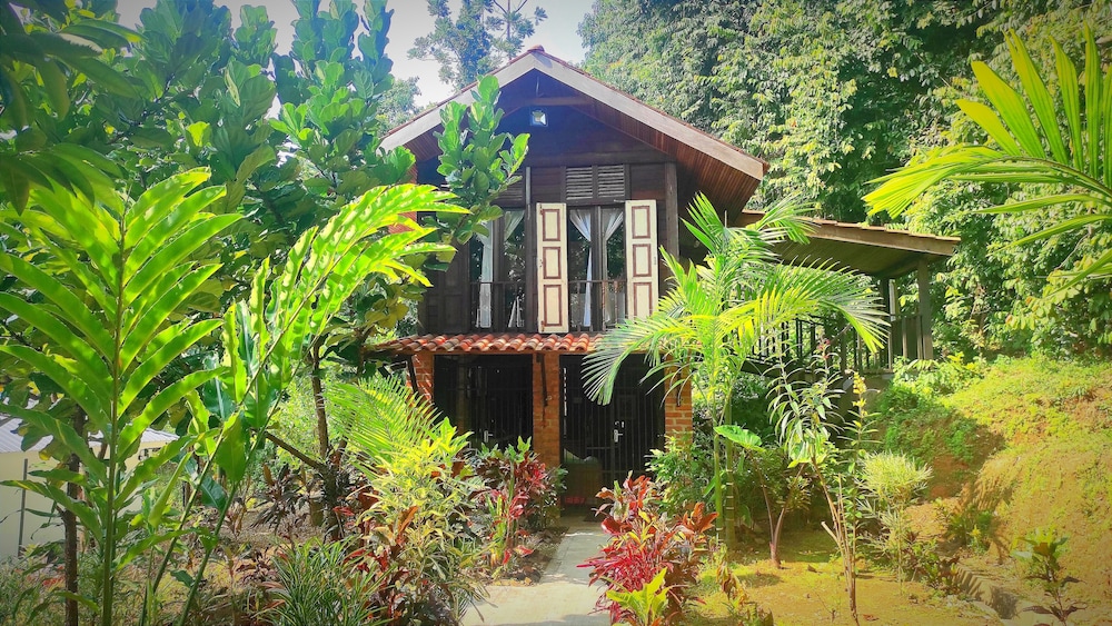 Classic House - Photo 26
