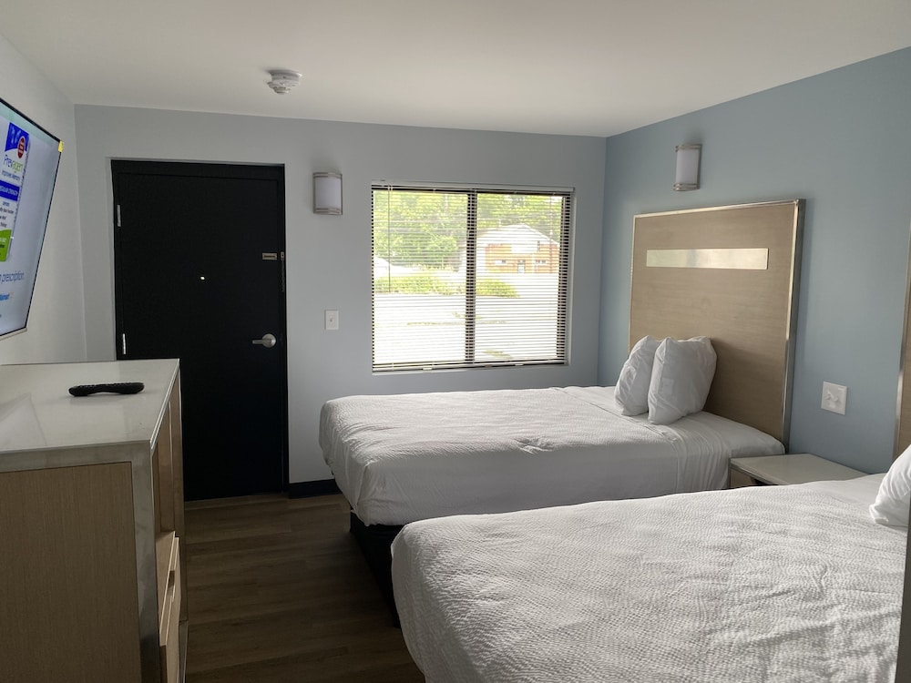Double Room, Multiple Beds photo 1