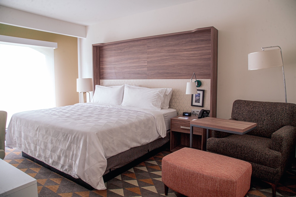 Suite, 1 Bedroom photo 3