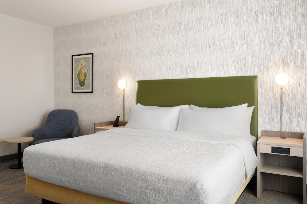 Suite, 1 Bedroom - Photo 1