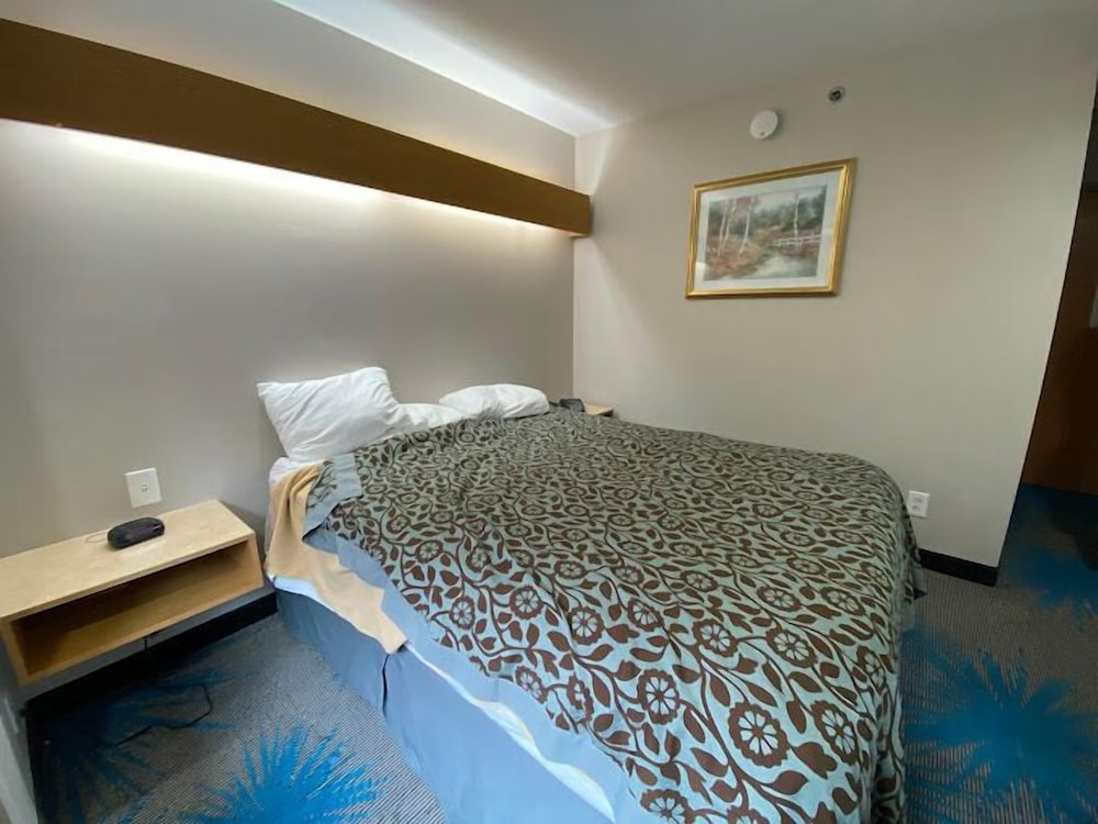 Basic Room photo 3