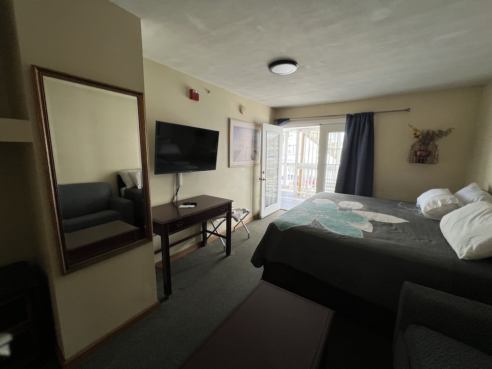 Comfort Studio, 1 King Bed with Sofa bed - Photo 3
