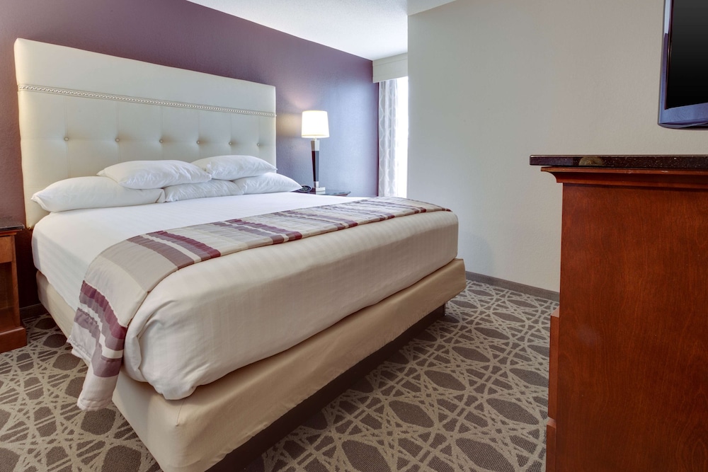 Suite, 1 King Bed with Sofa bed, Refrigerator & Microwave (2 Rooms) photo 2