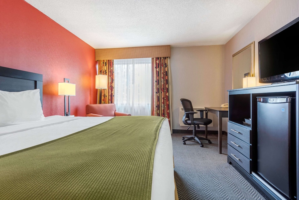Standard Room, 1 King Bed, Non Smoking - Photo 4